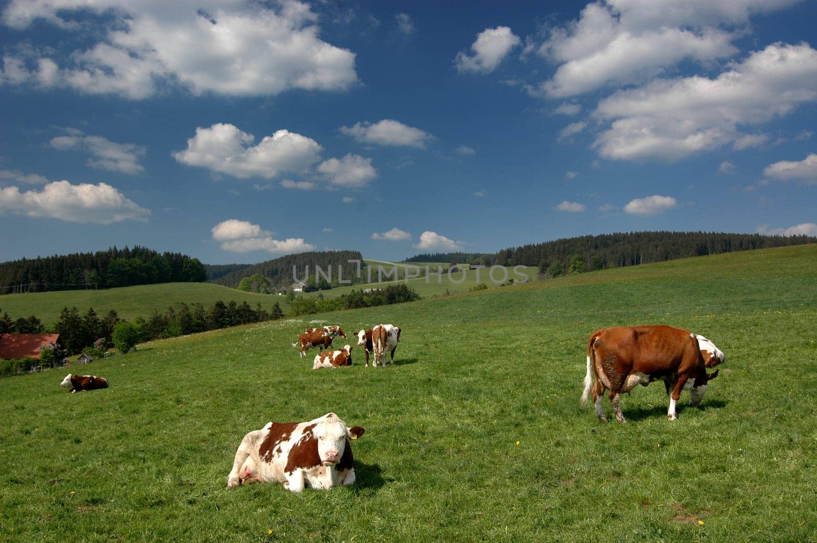Agriculture