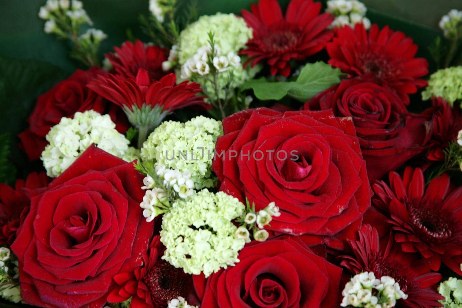 Bouquet of roses