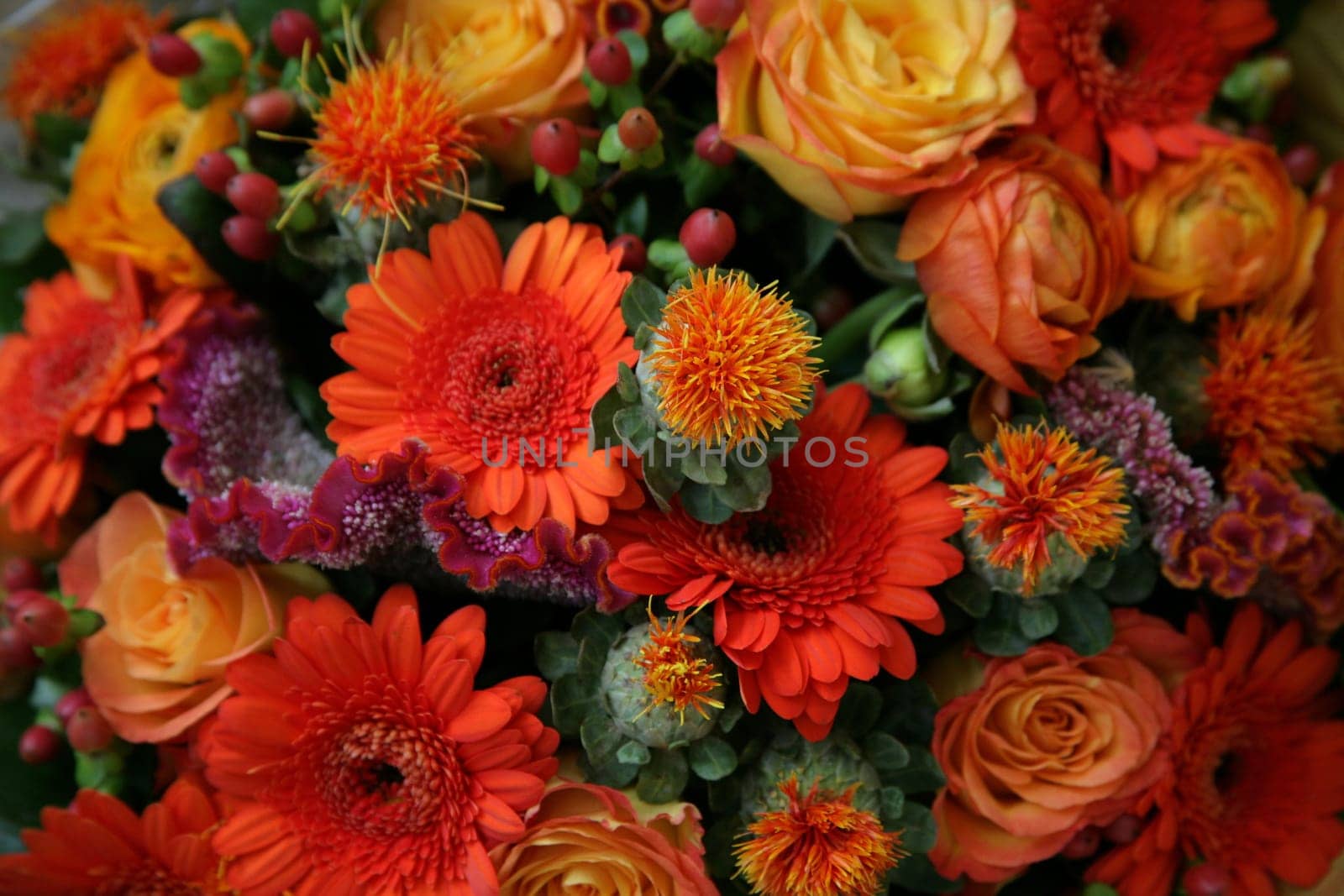 Bouquet of flowers