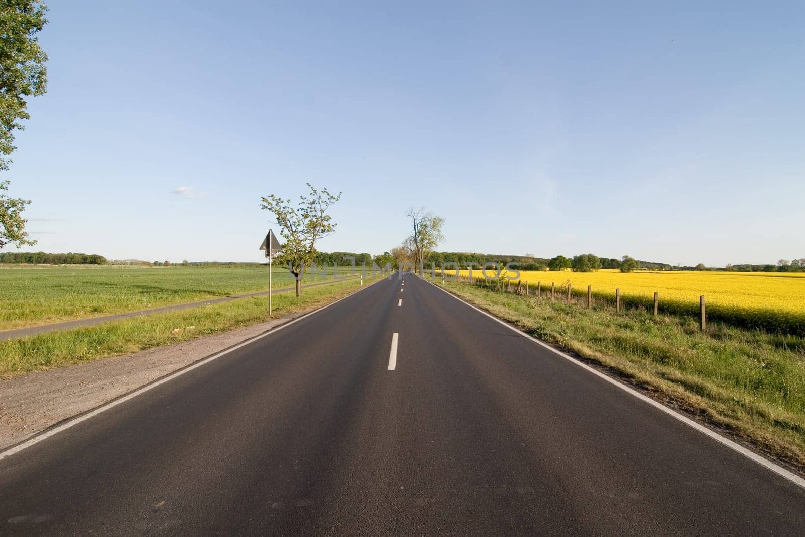 Road and rapeseed
