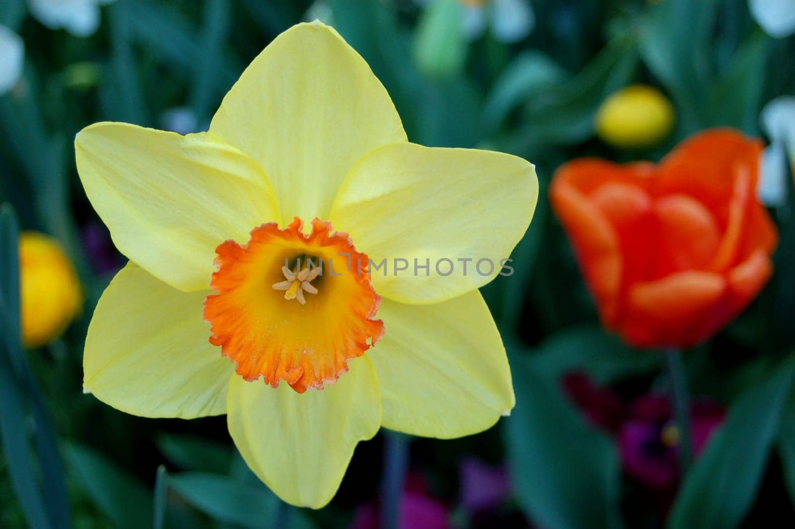 Easter bell 1