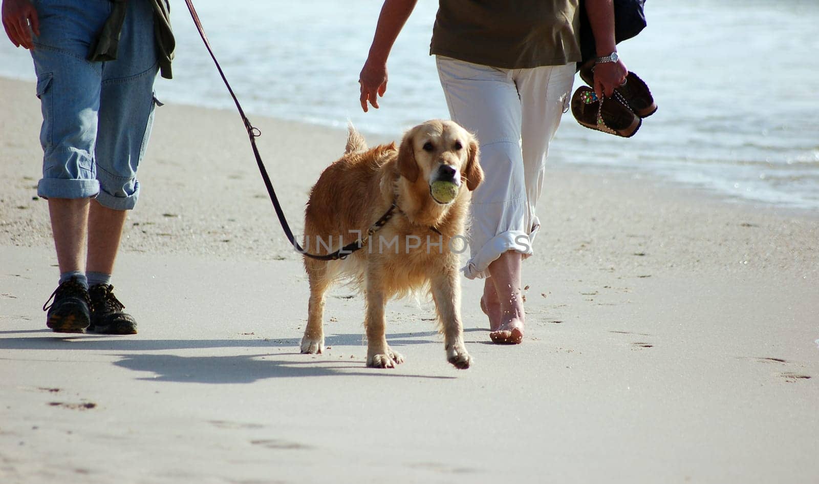 Walk on the beach