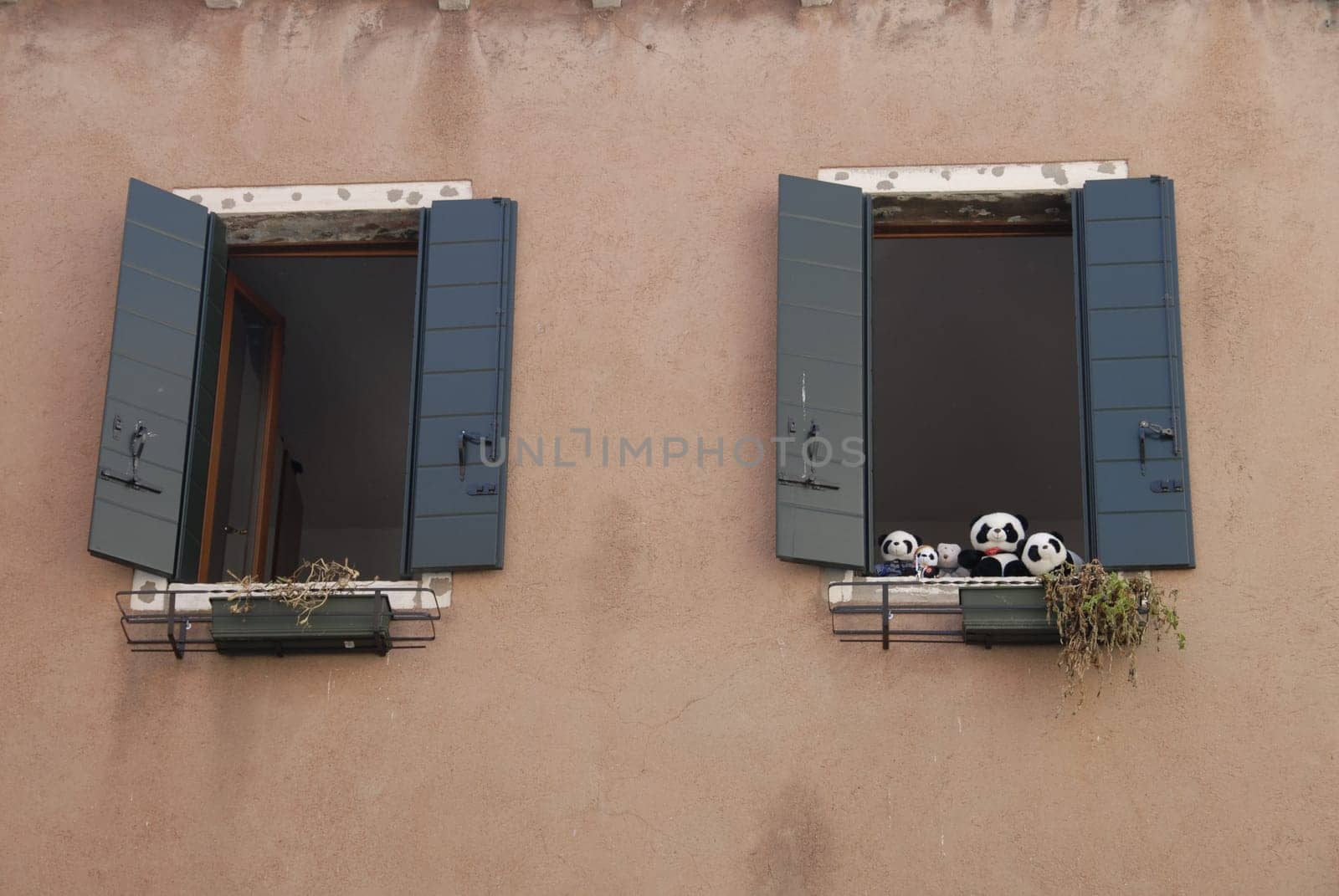 Italian windows