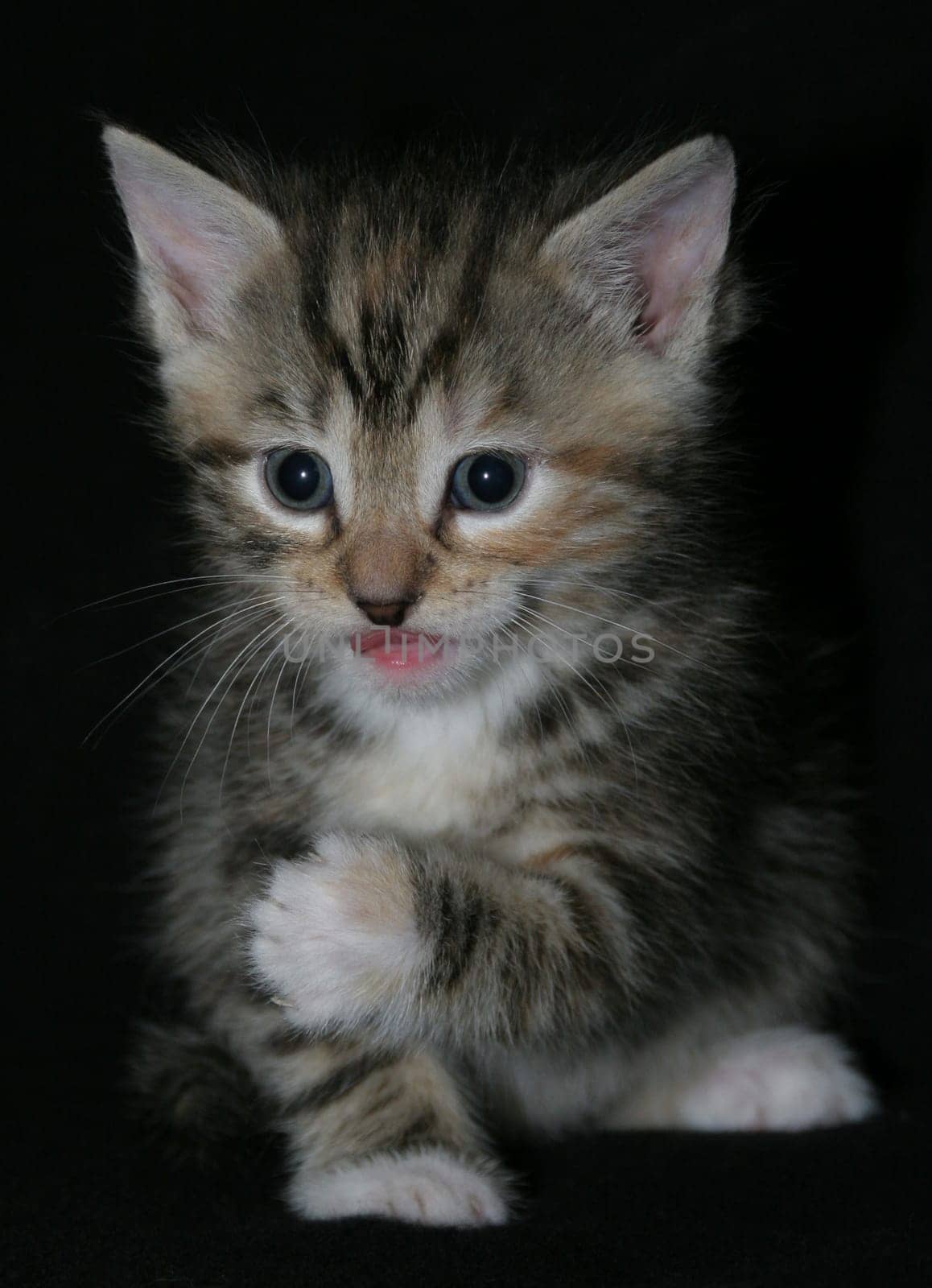 Give Me Five