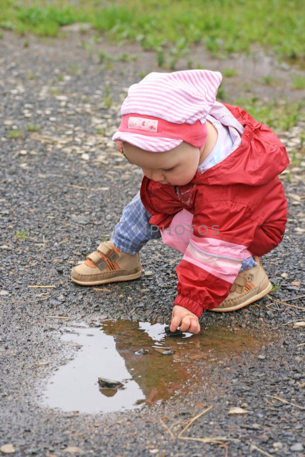 At the puddle of water