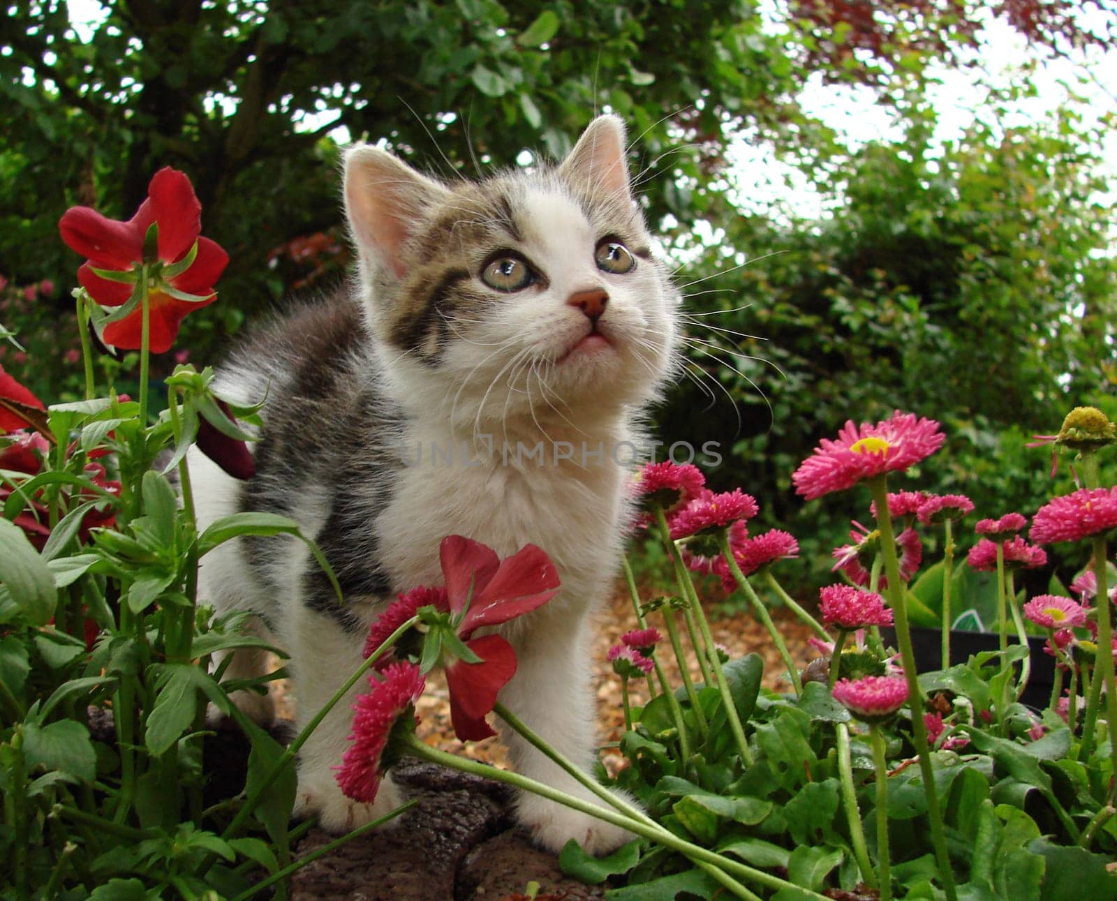 curious