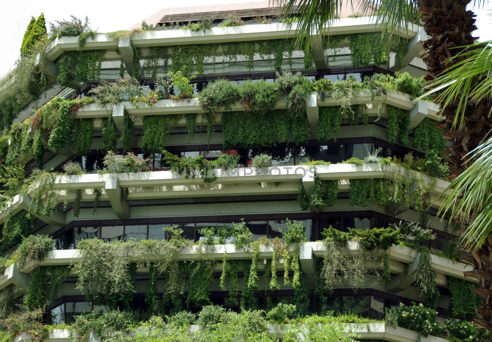 Architecture and nature combined