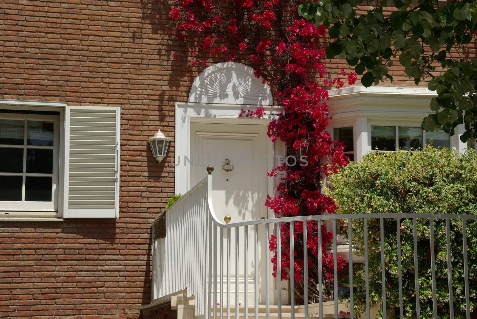 Dream House * Flower Portal