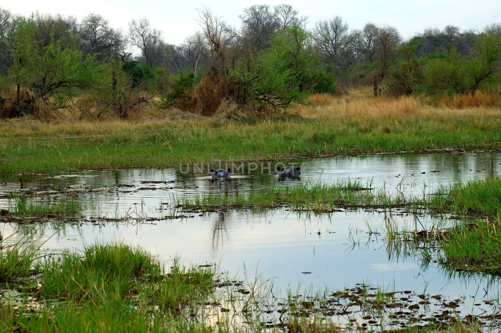 River Pond