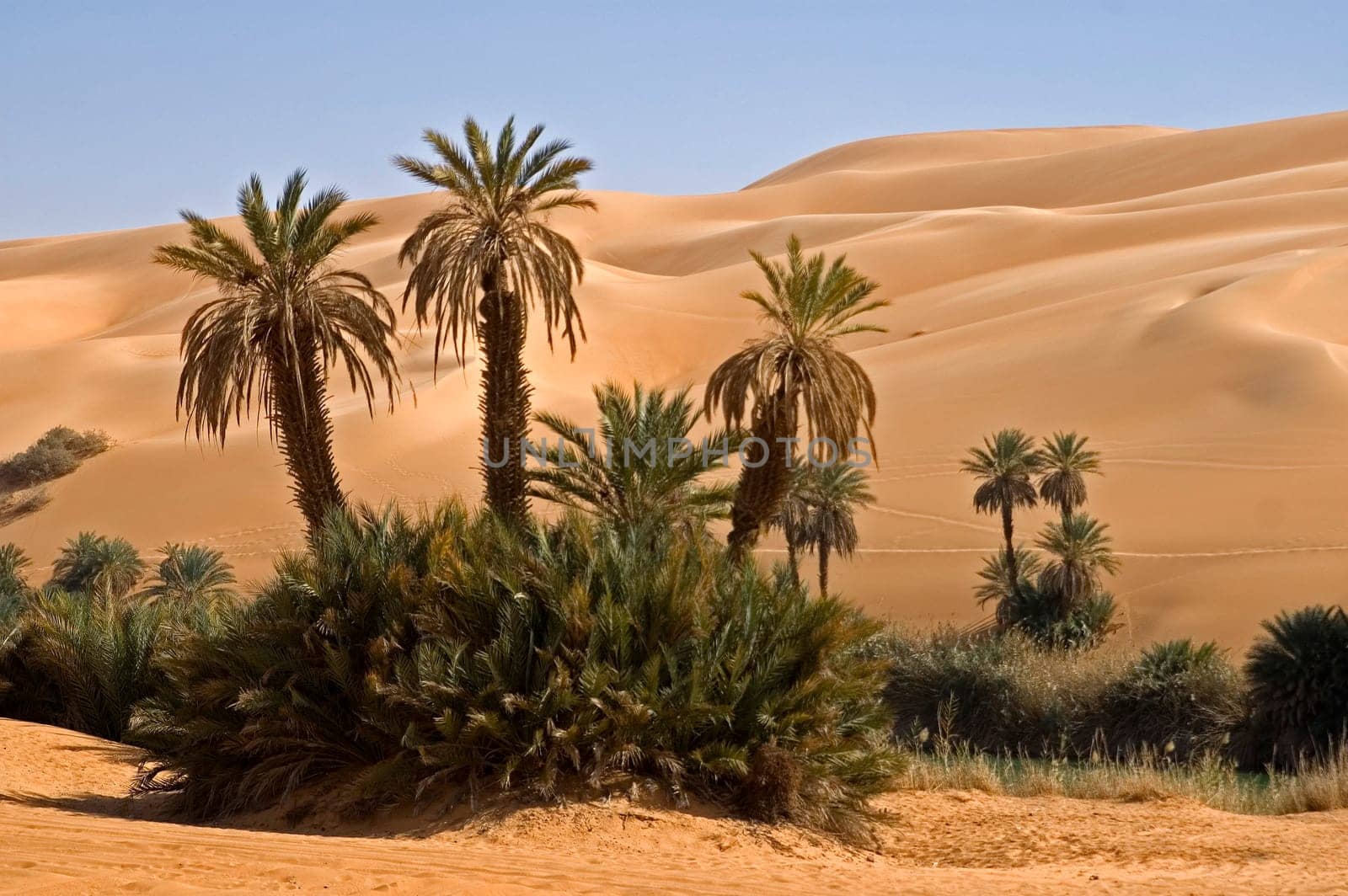 Sandbox,Ubari oasis,Libya