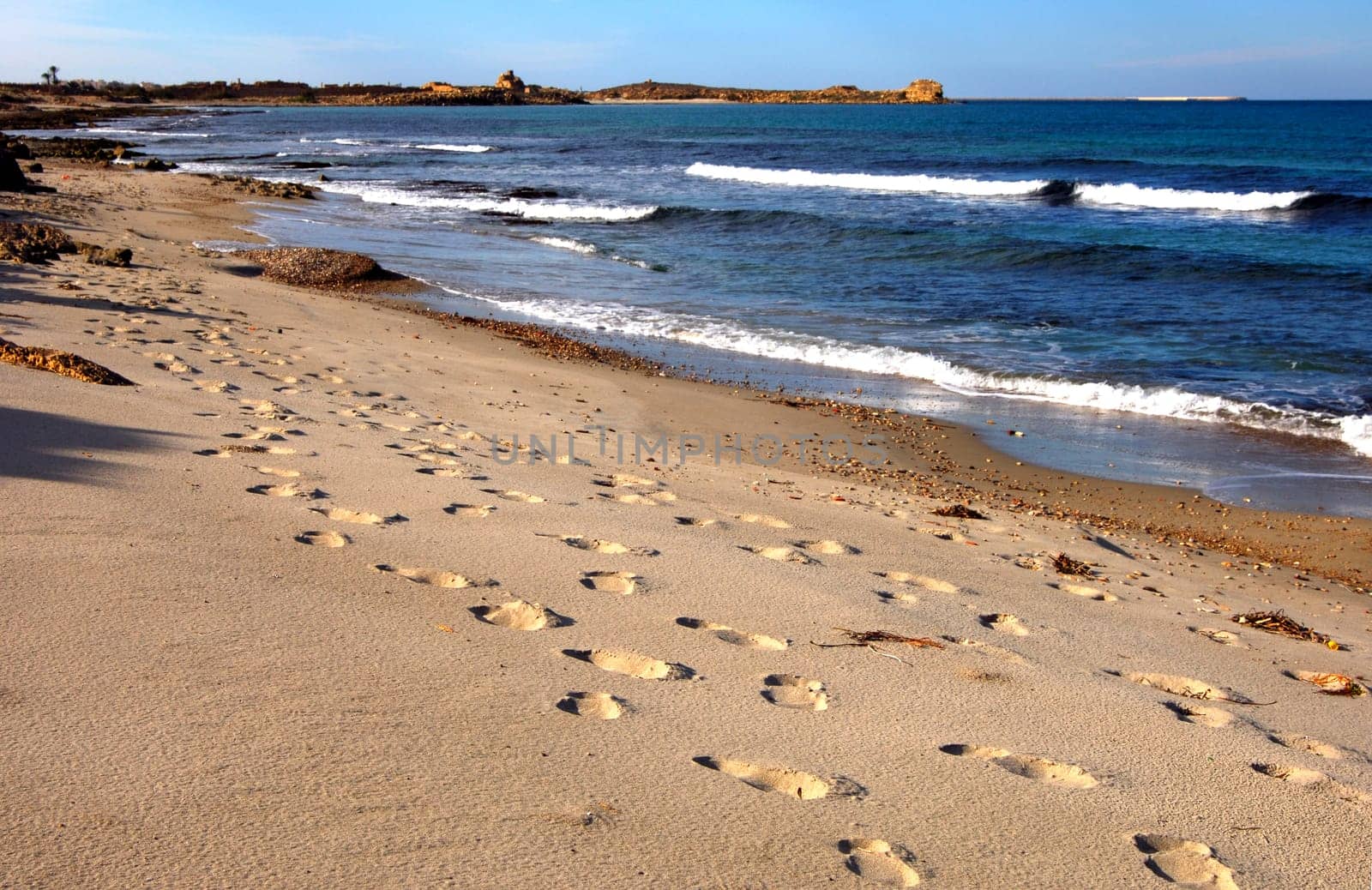 Tracks on the beach