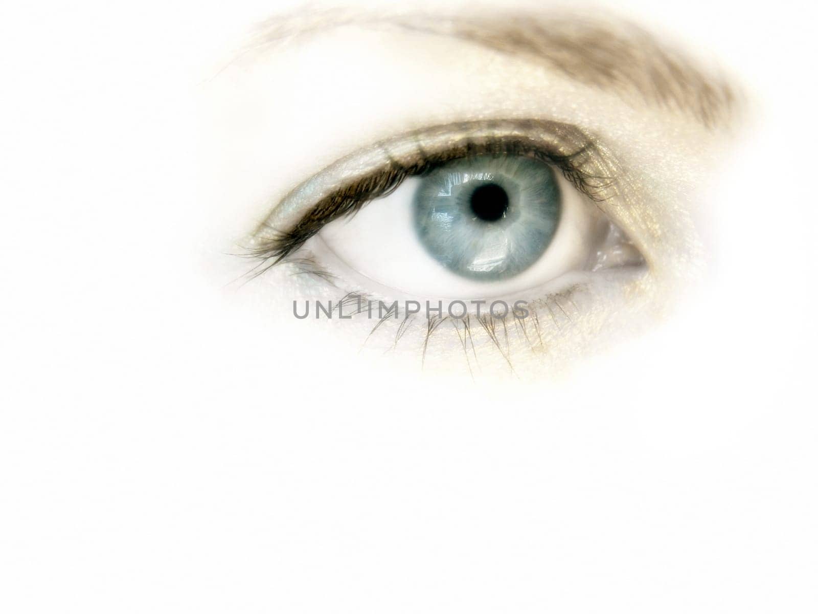 Eye