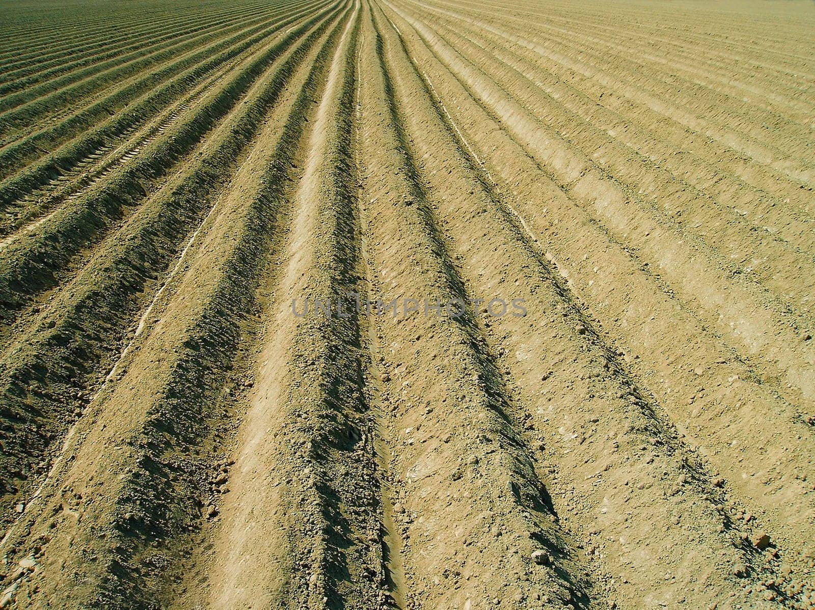 Field furrows
