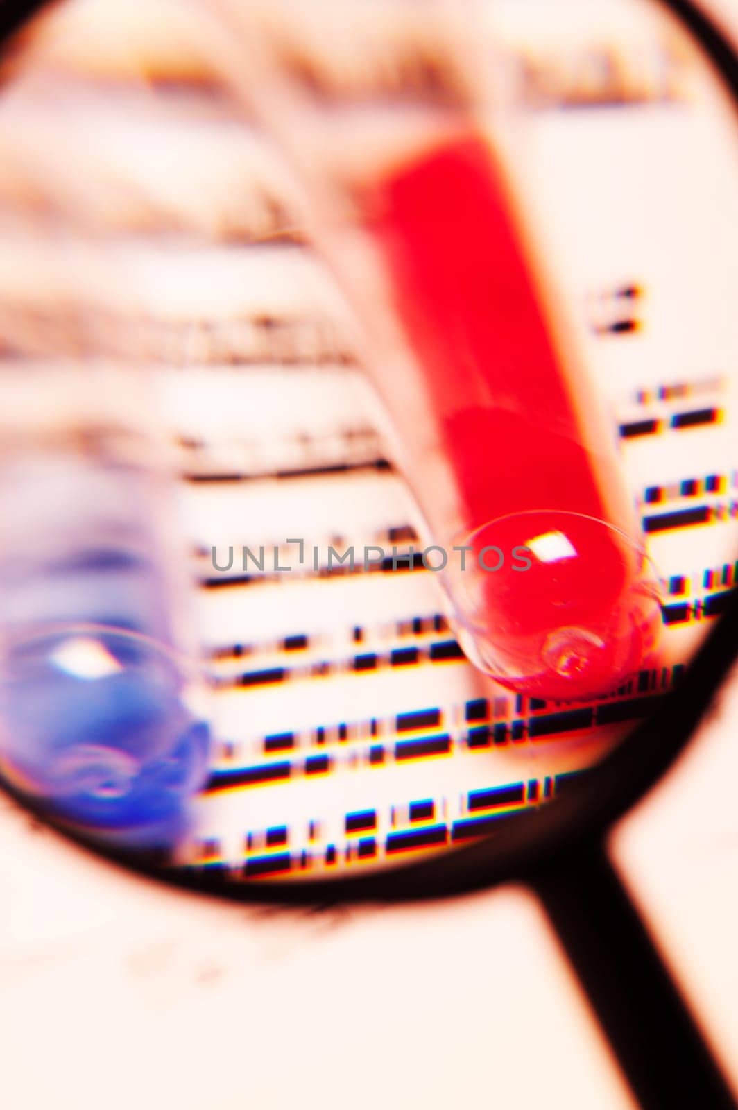 DNA