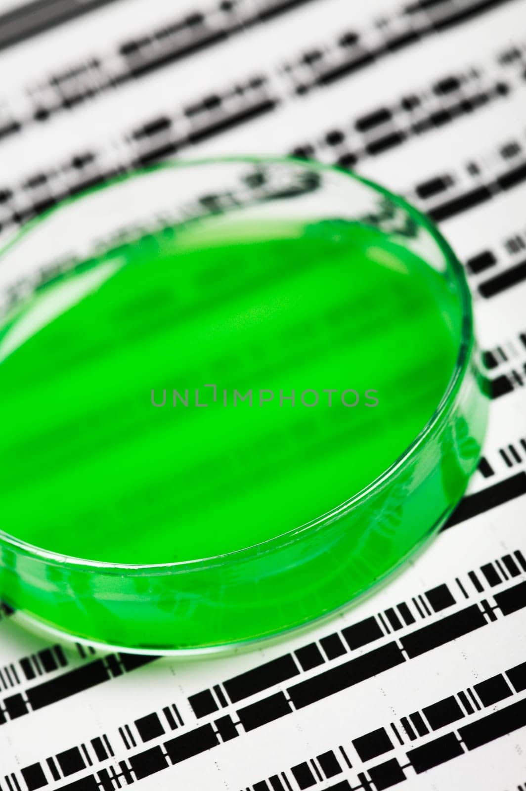 Petri dish
