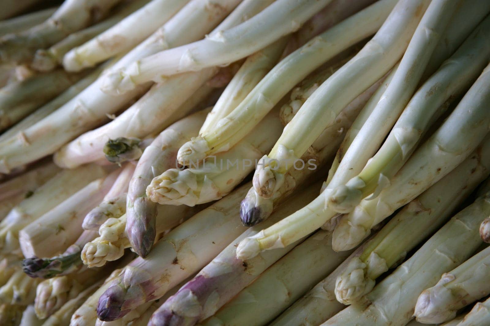 Asparagus