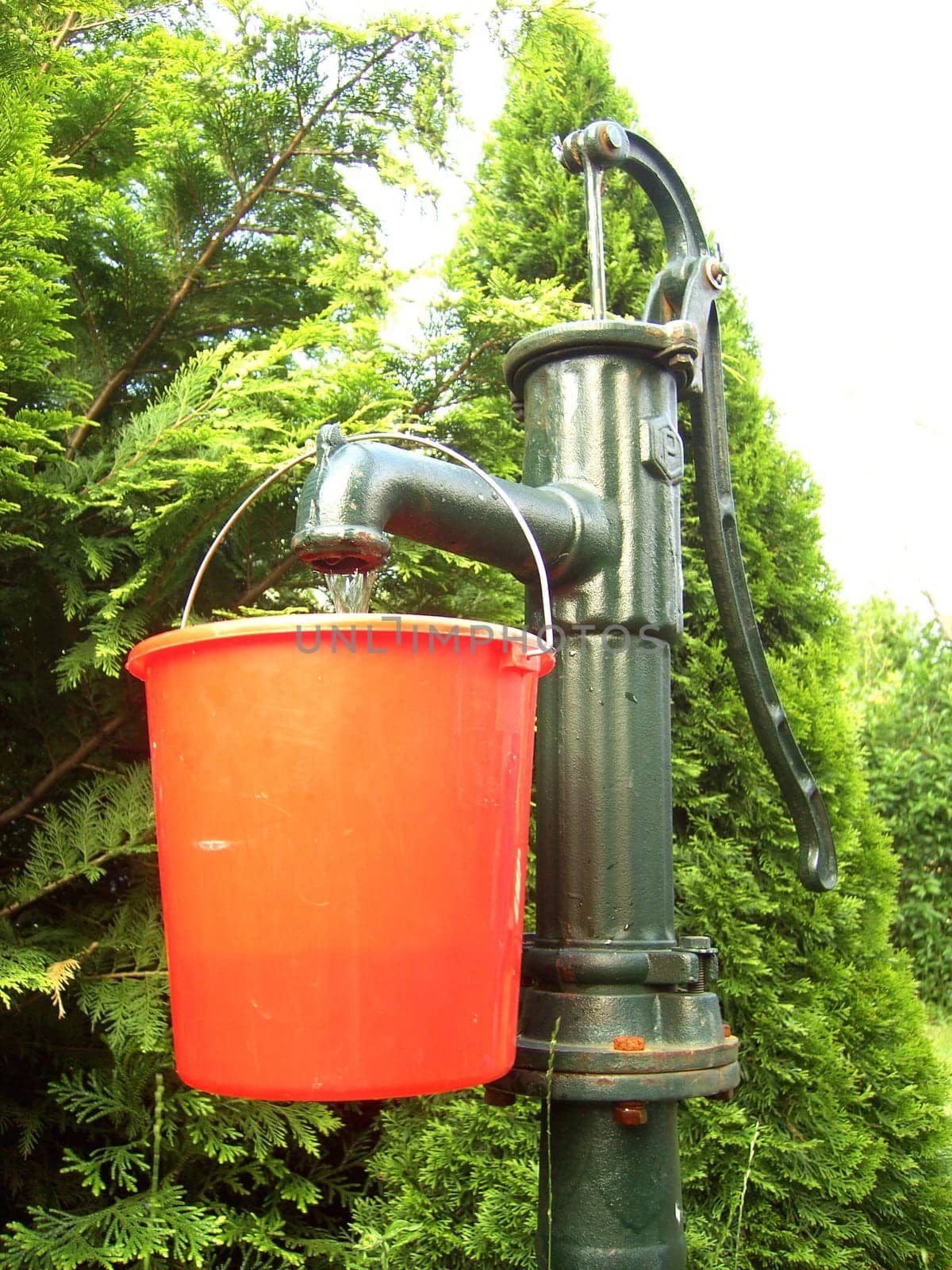 Water pump 03