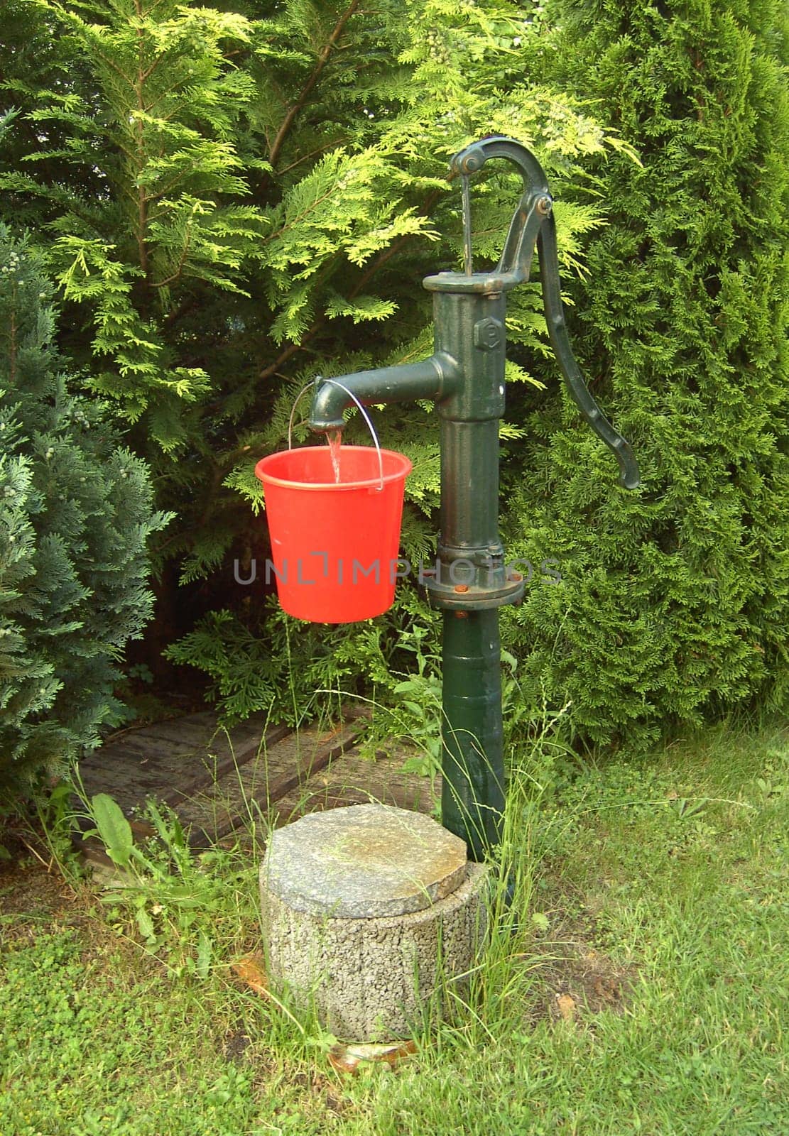 Water pump 02