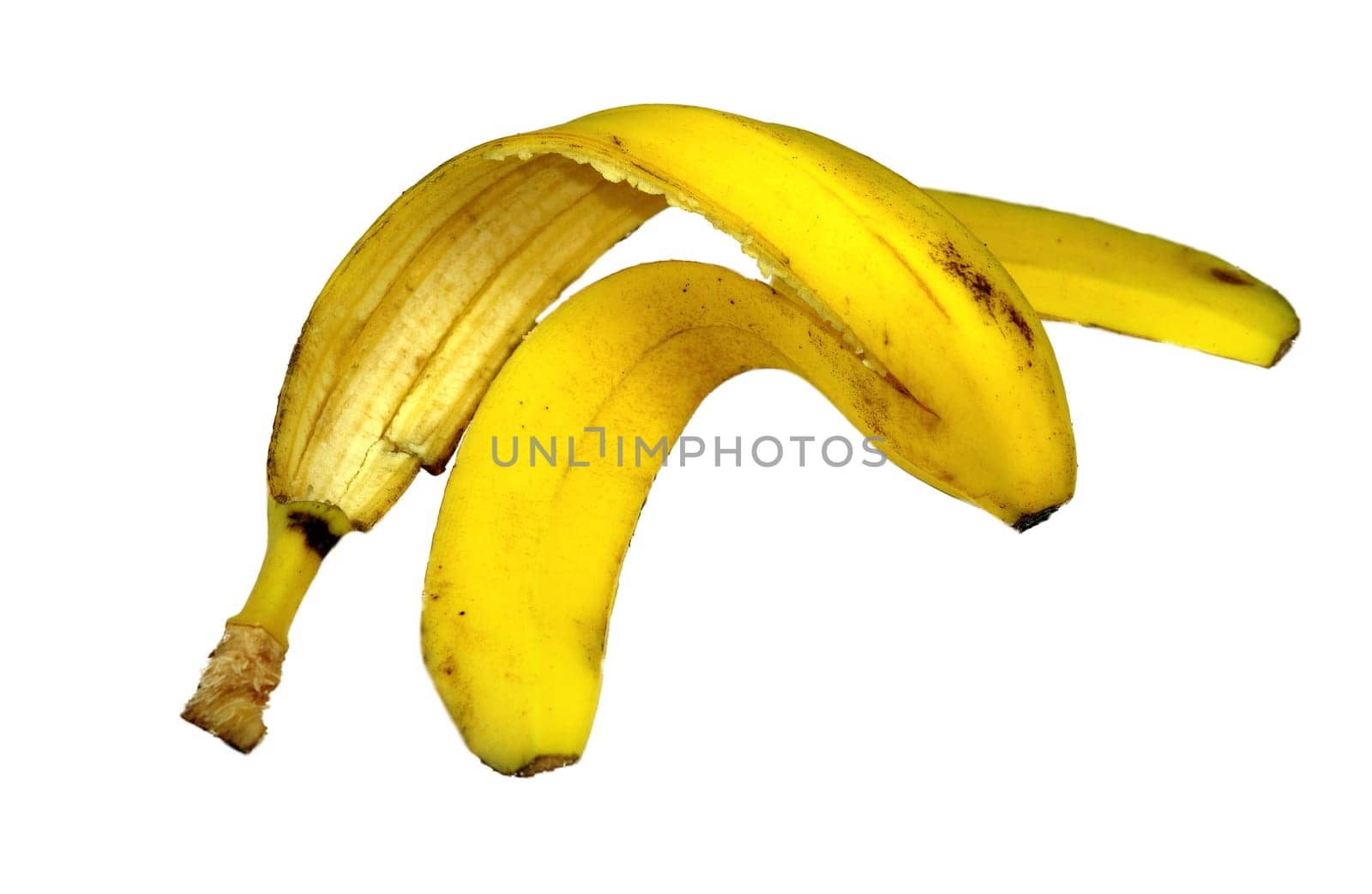 BananaAbstract