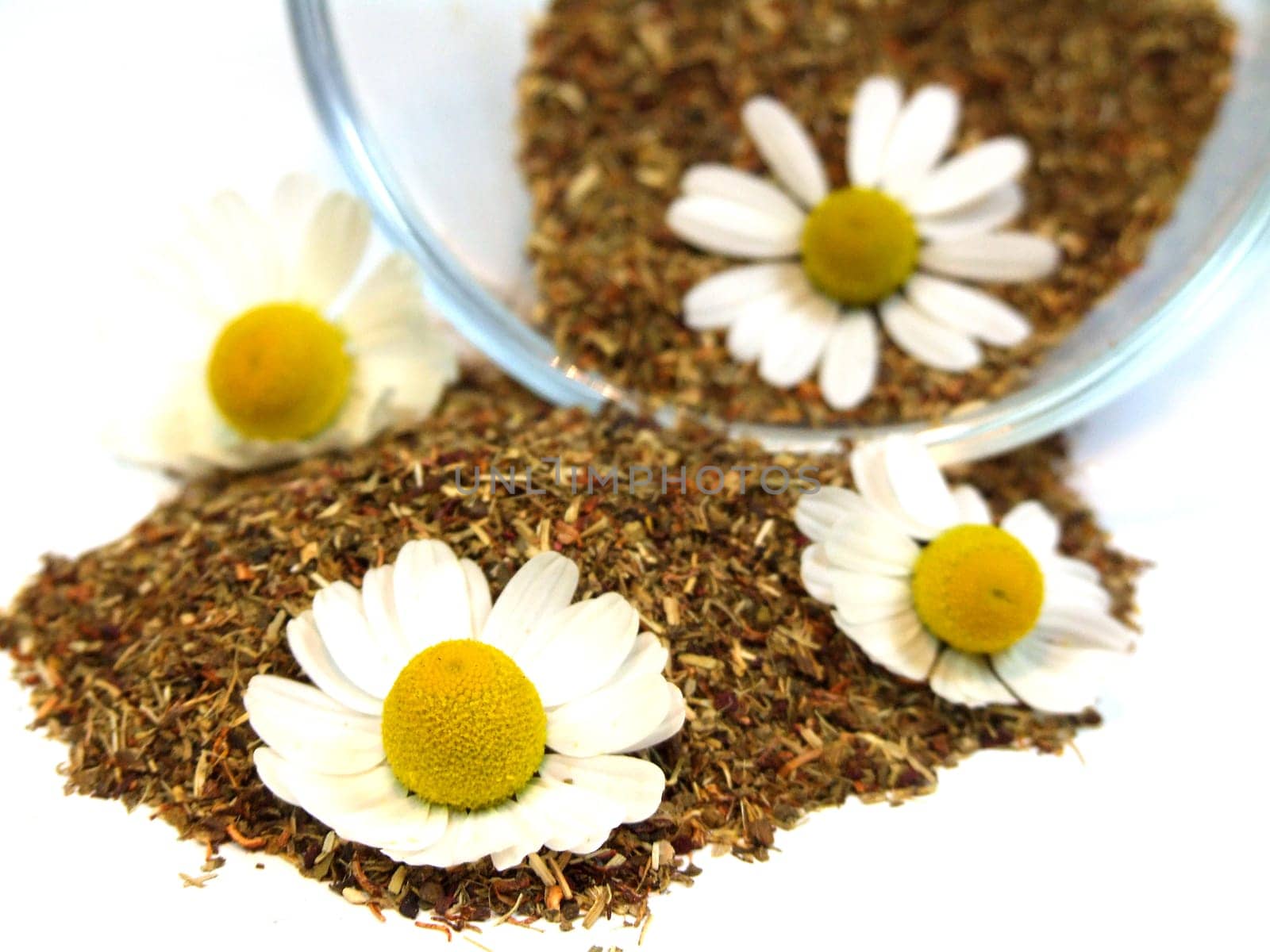 Camomile tea