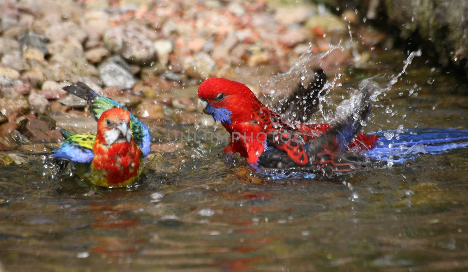 Bath time