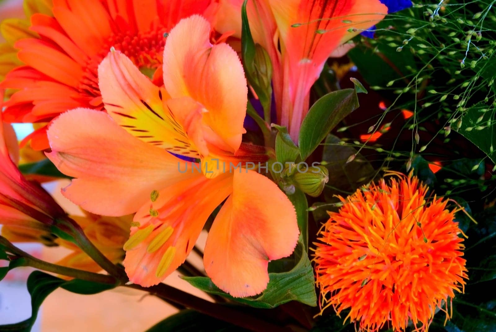 Art Deco floral