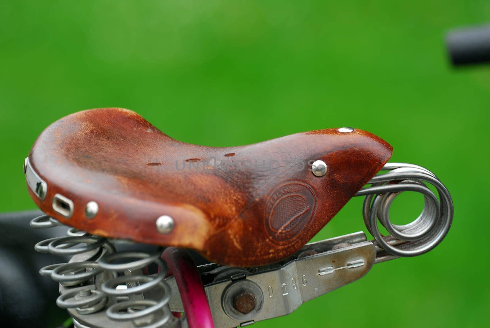 Saddle