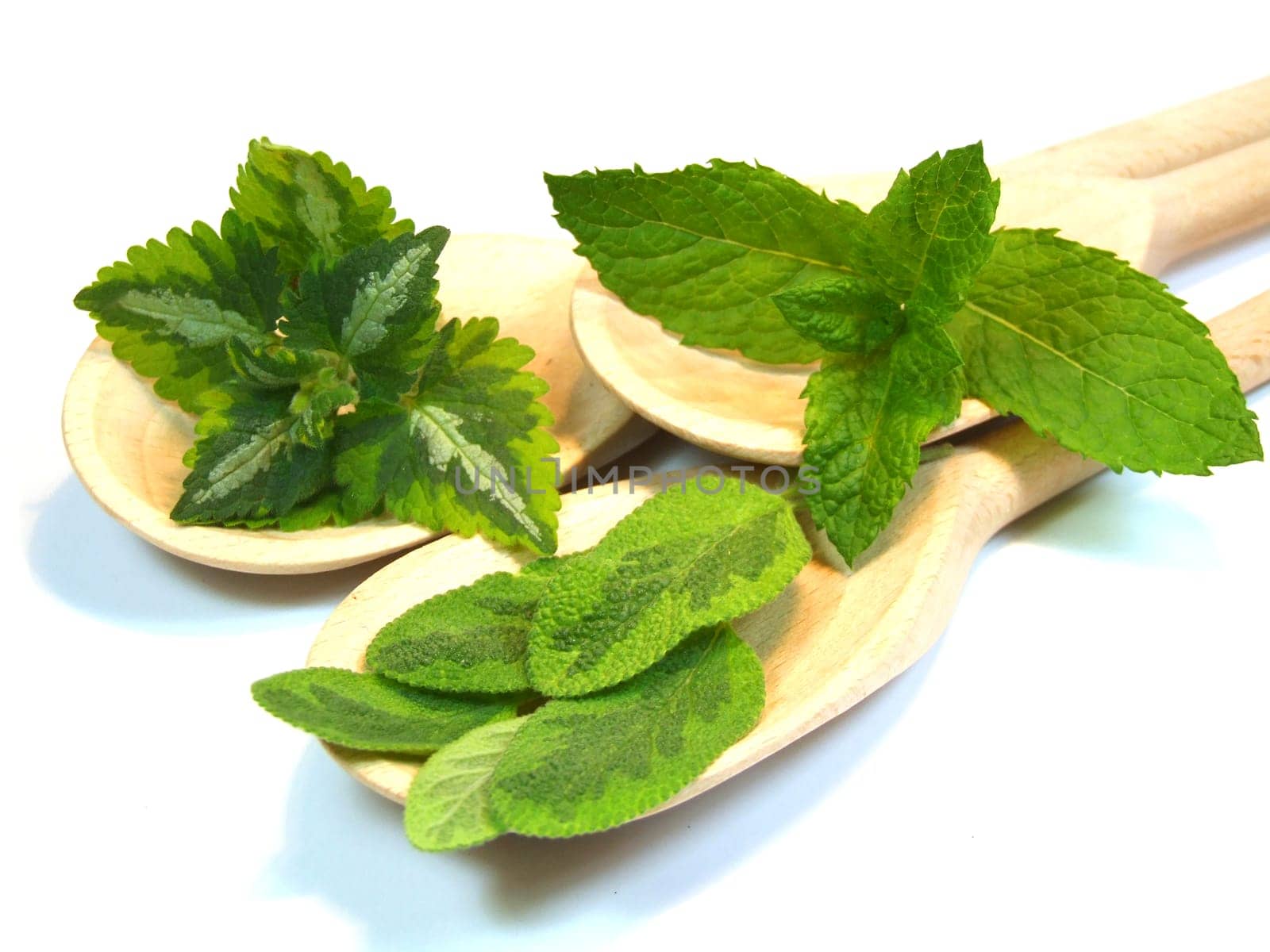 Herbs