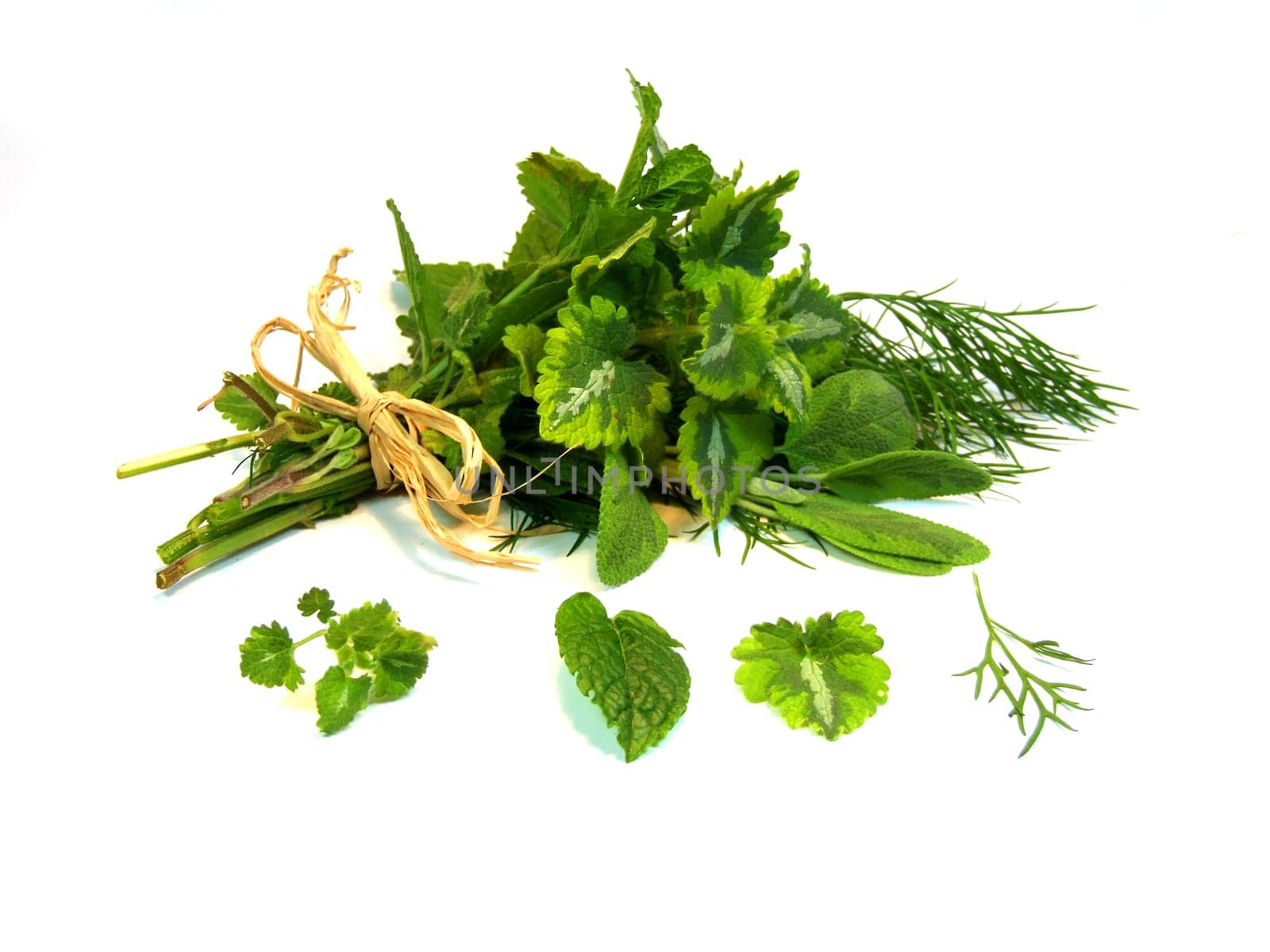Herbs