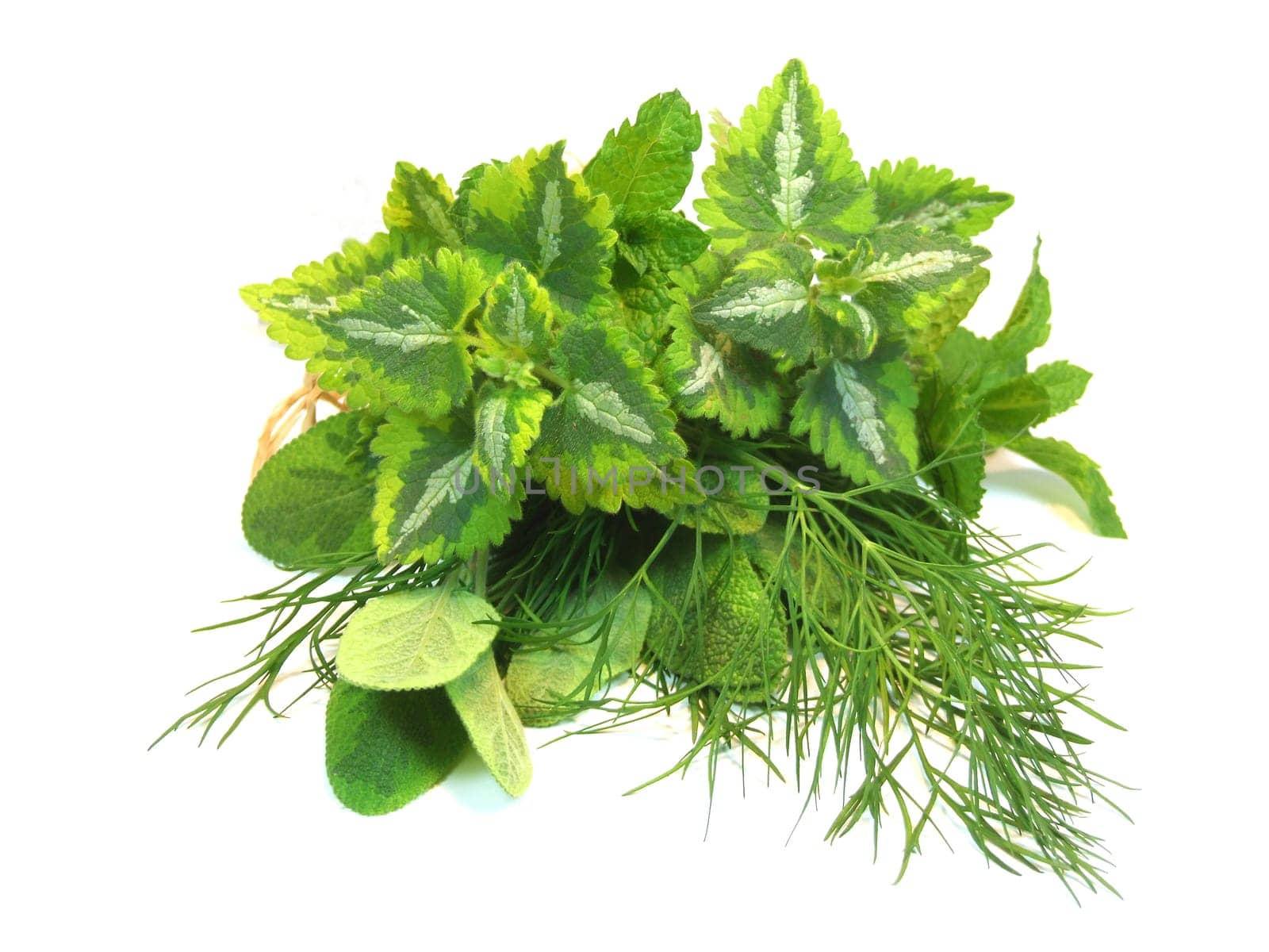 Bouquet of herbs