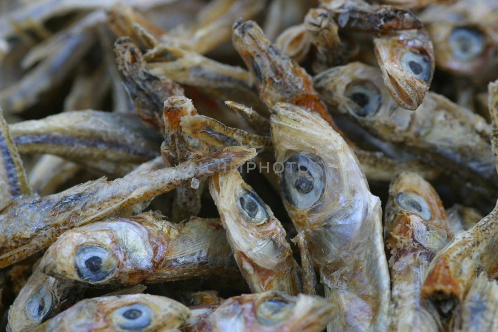 dried sardines