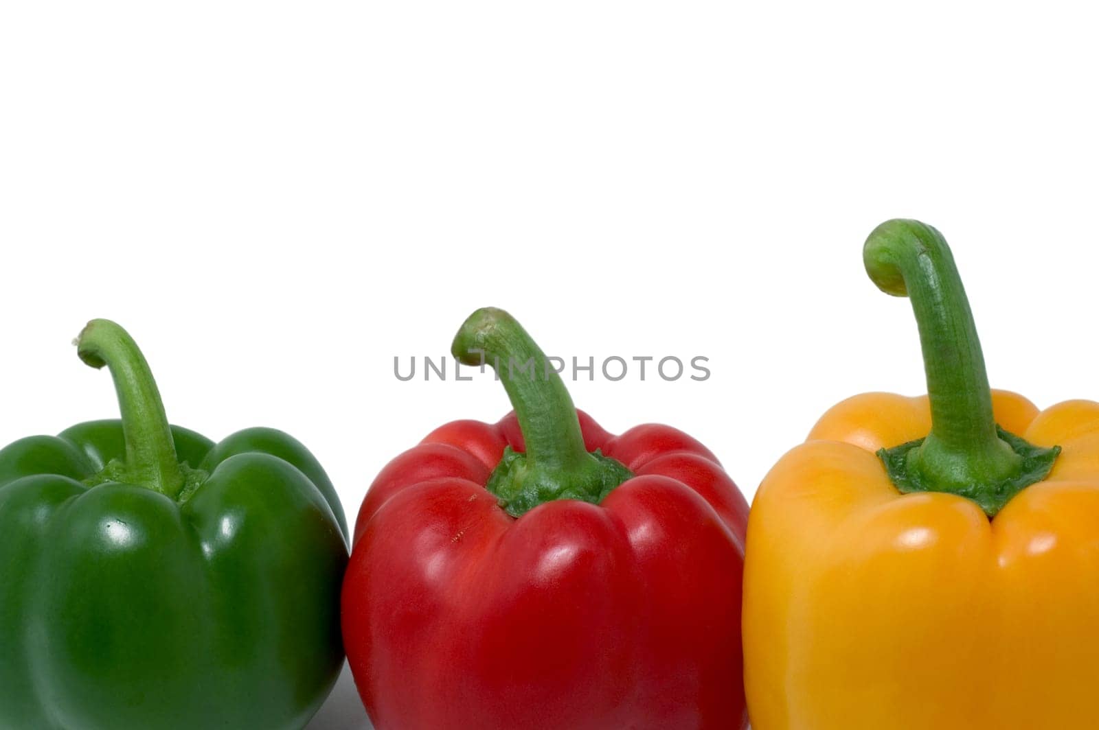 Paprika