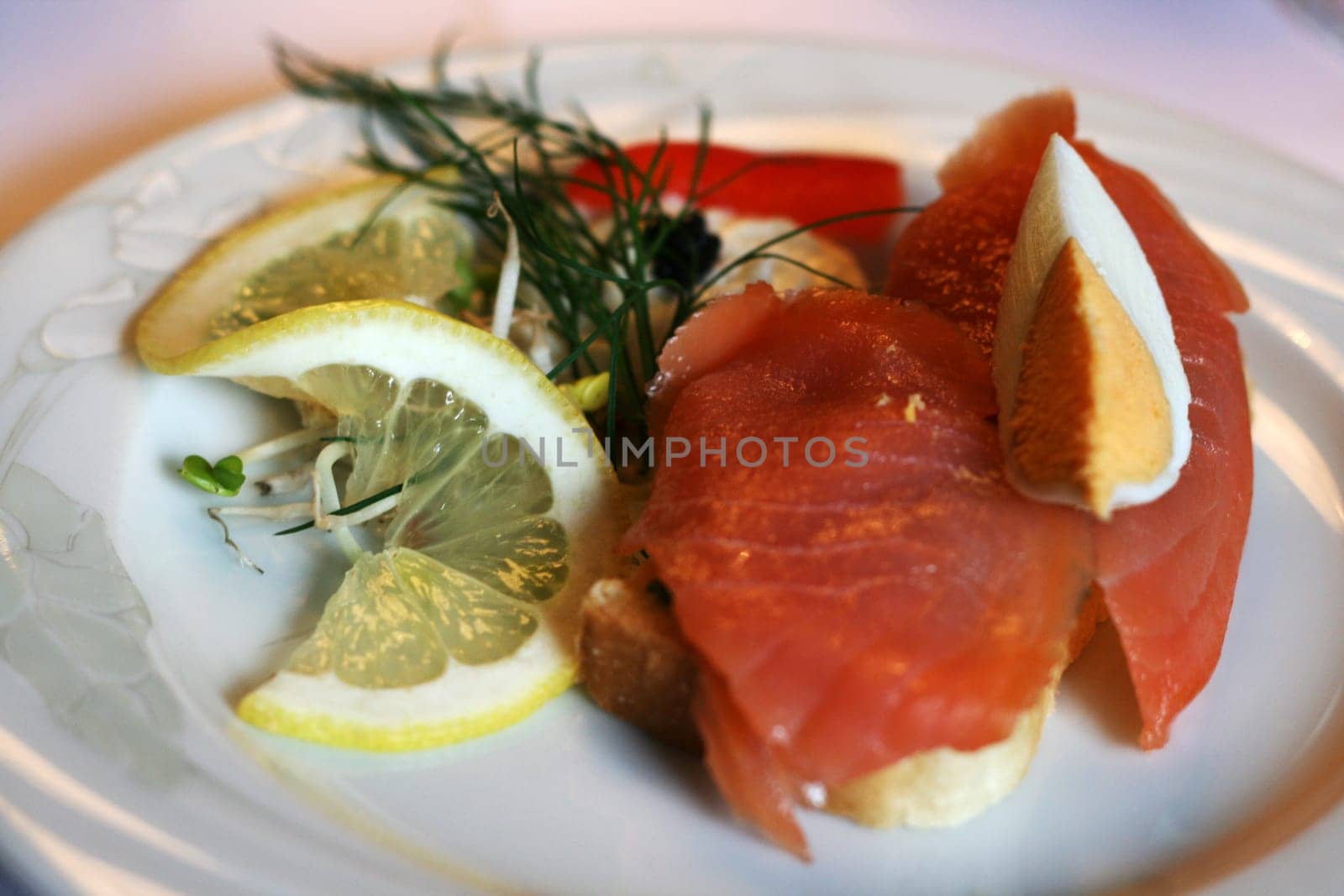 Salmon