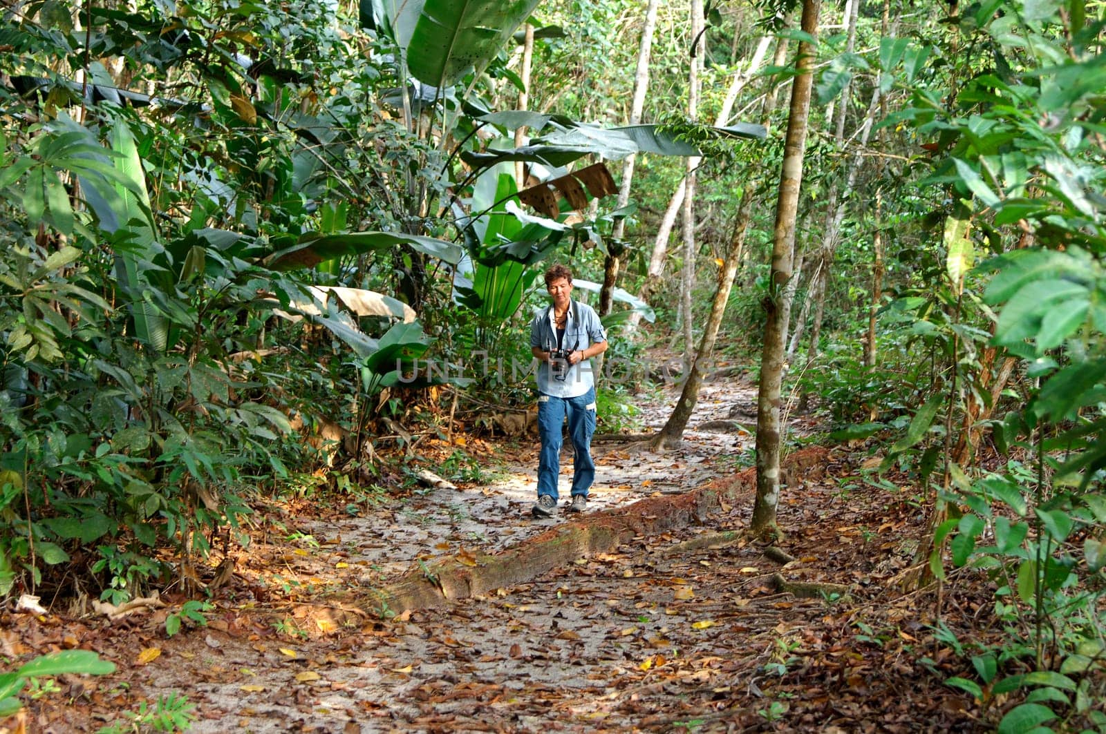 Walk in the jungle
