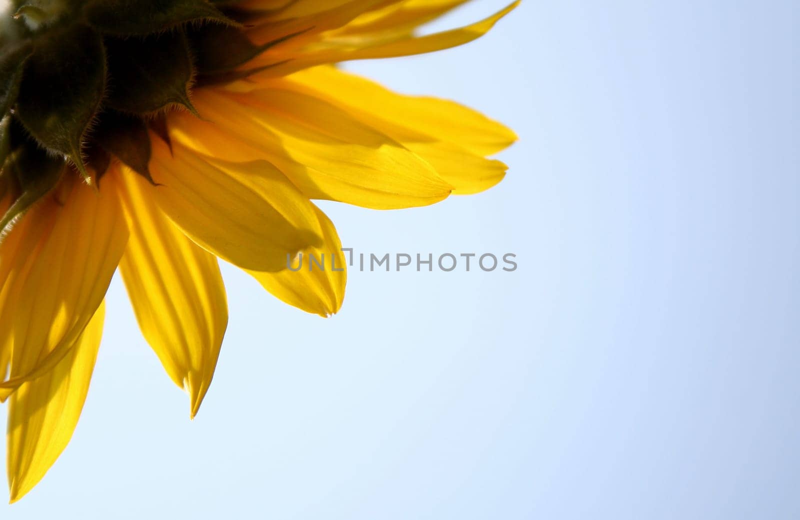 nature landscape or nature unspoiled or nature