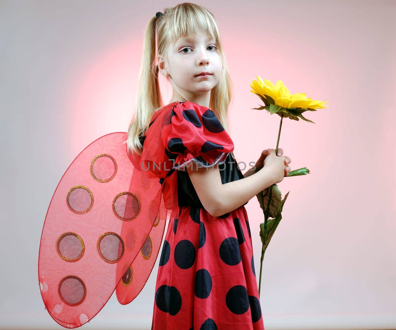 Ladybird