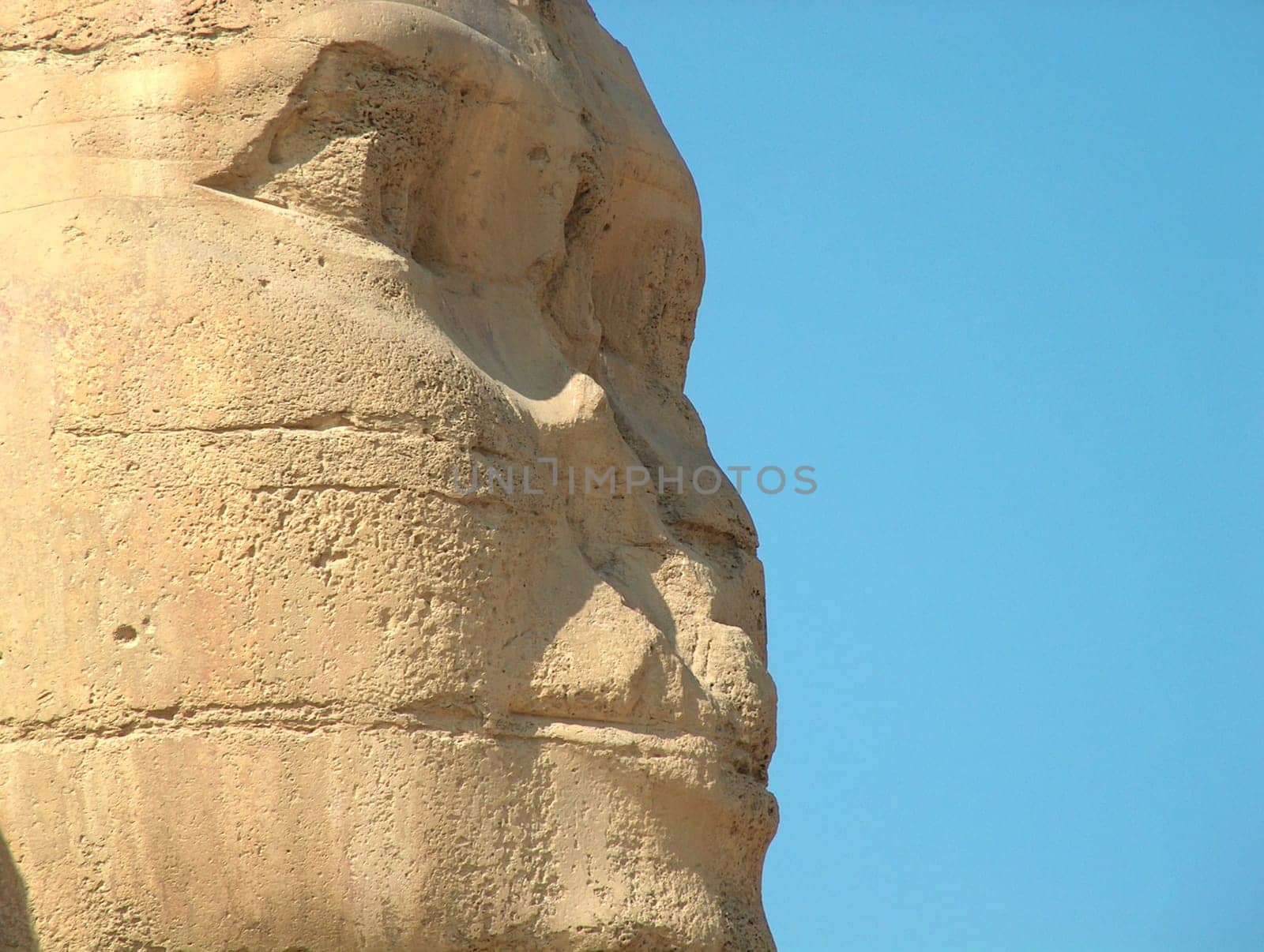Sphinx up close