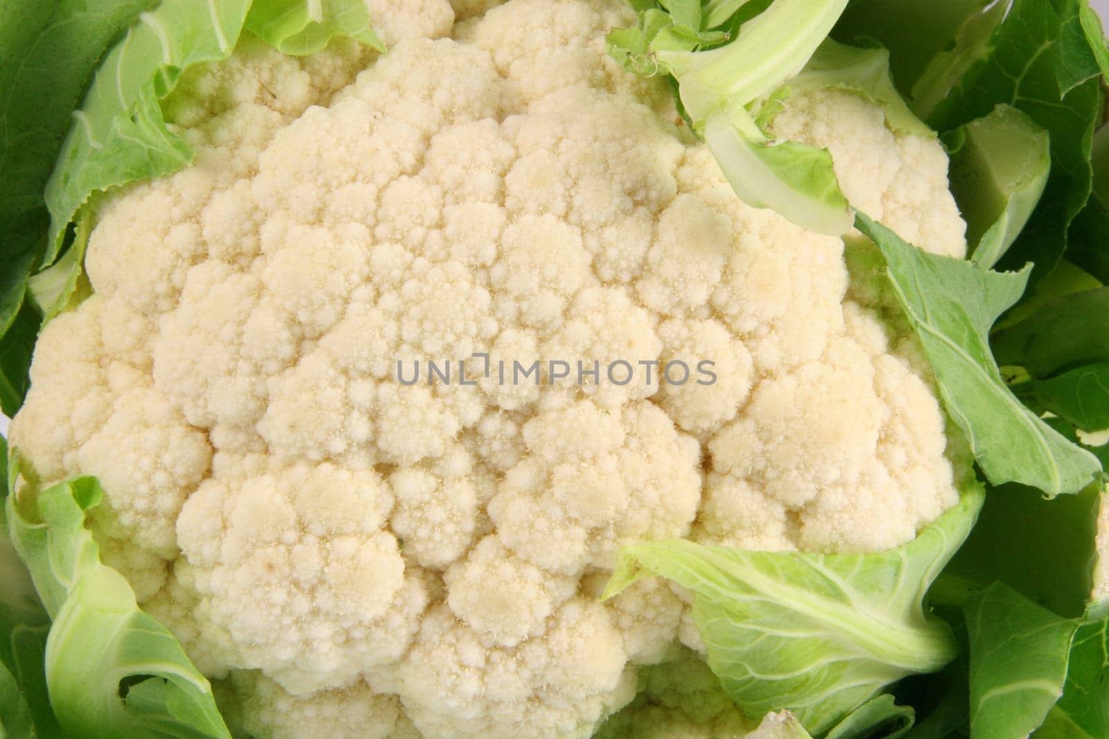Blumenkohl