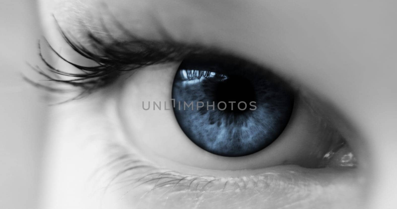 blue Eye II