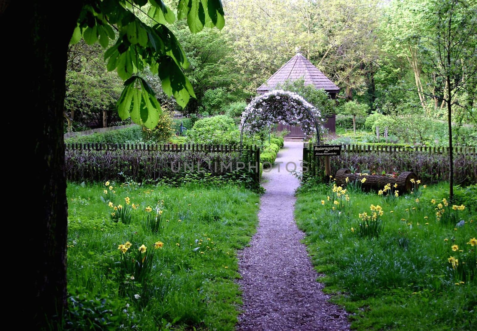 Cottage garden