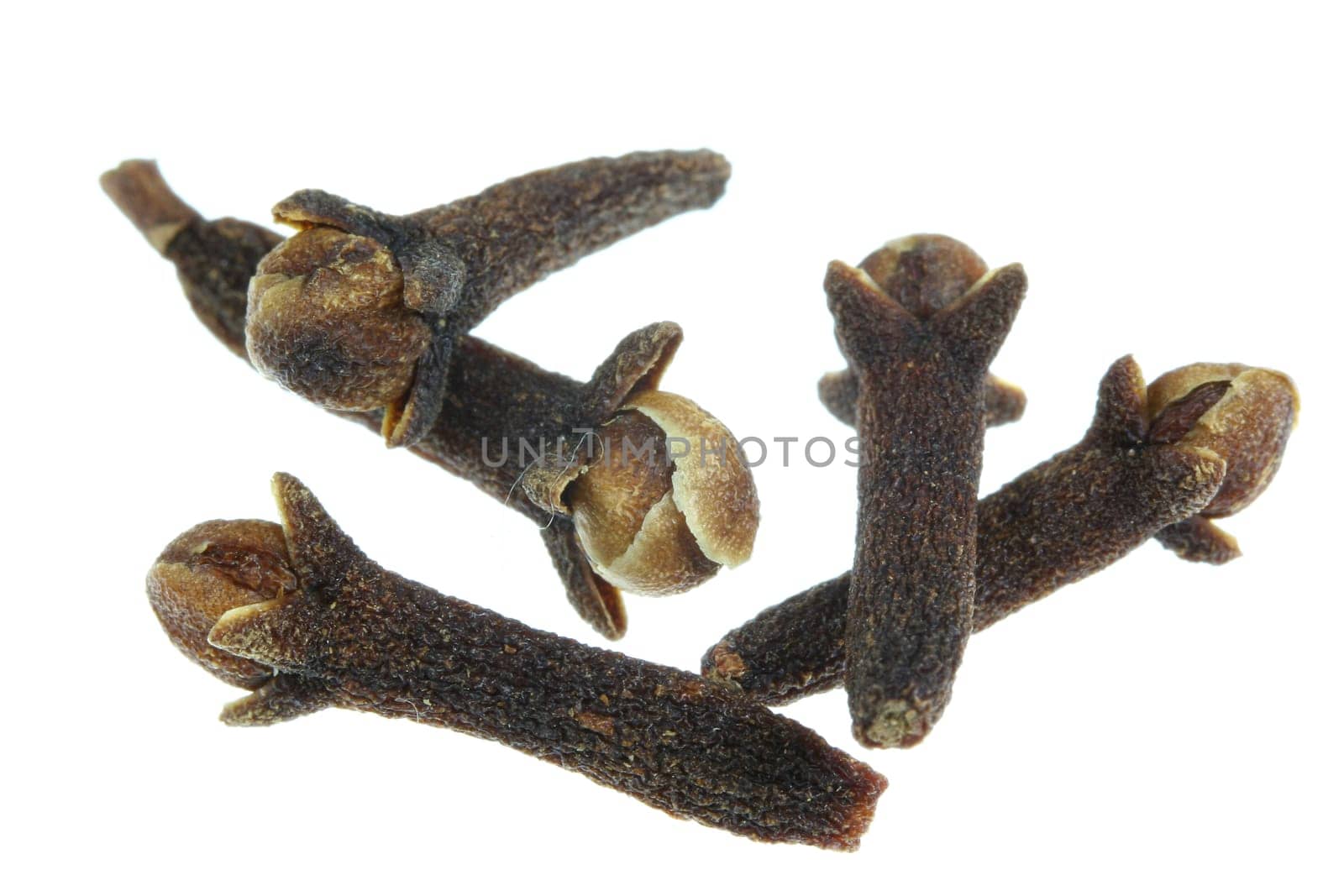 Cloves
