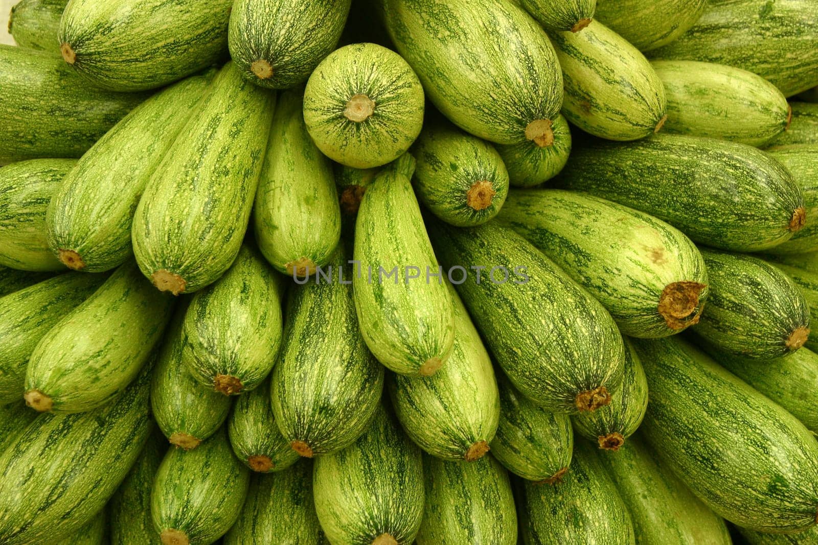 Zuccini