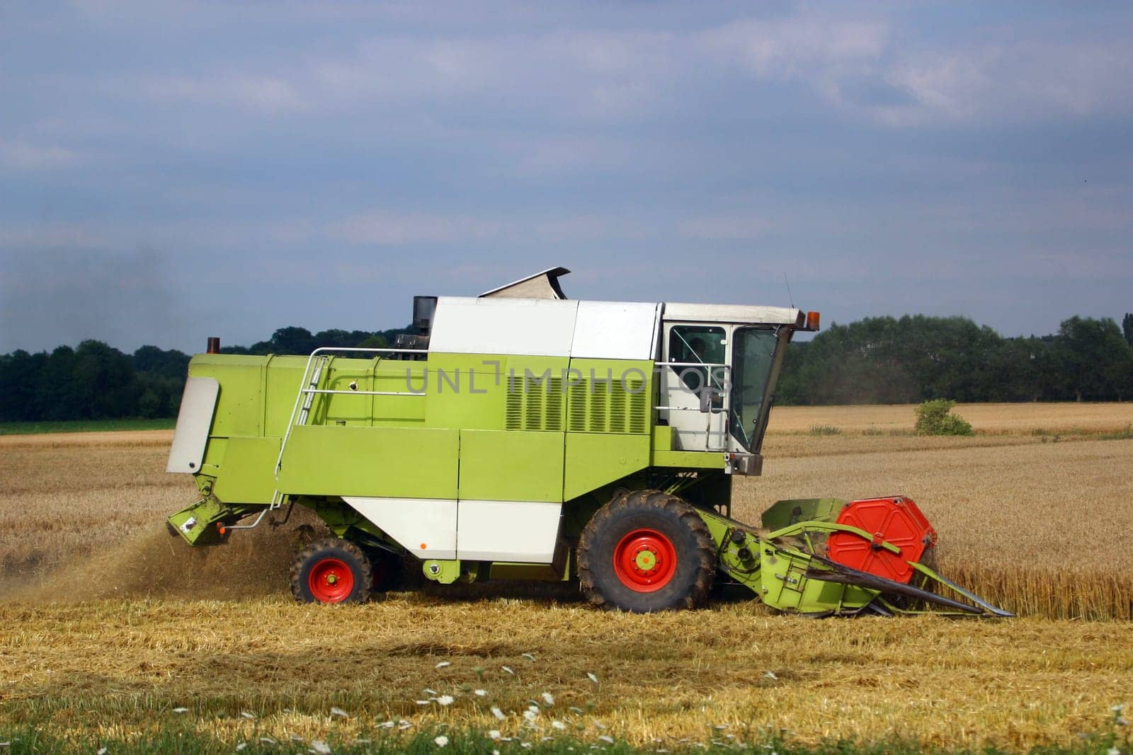 Harvest time