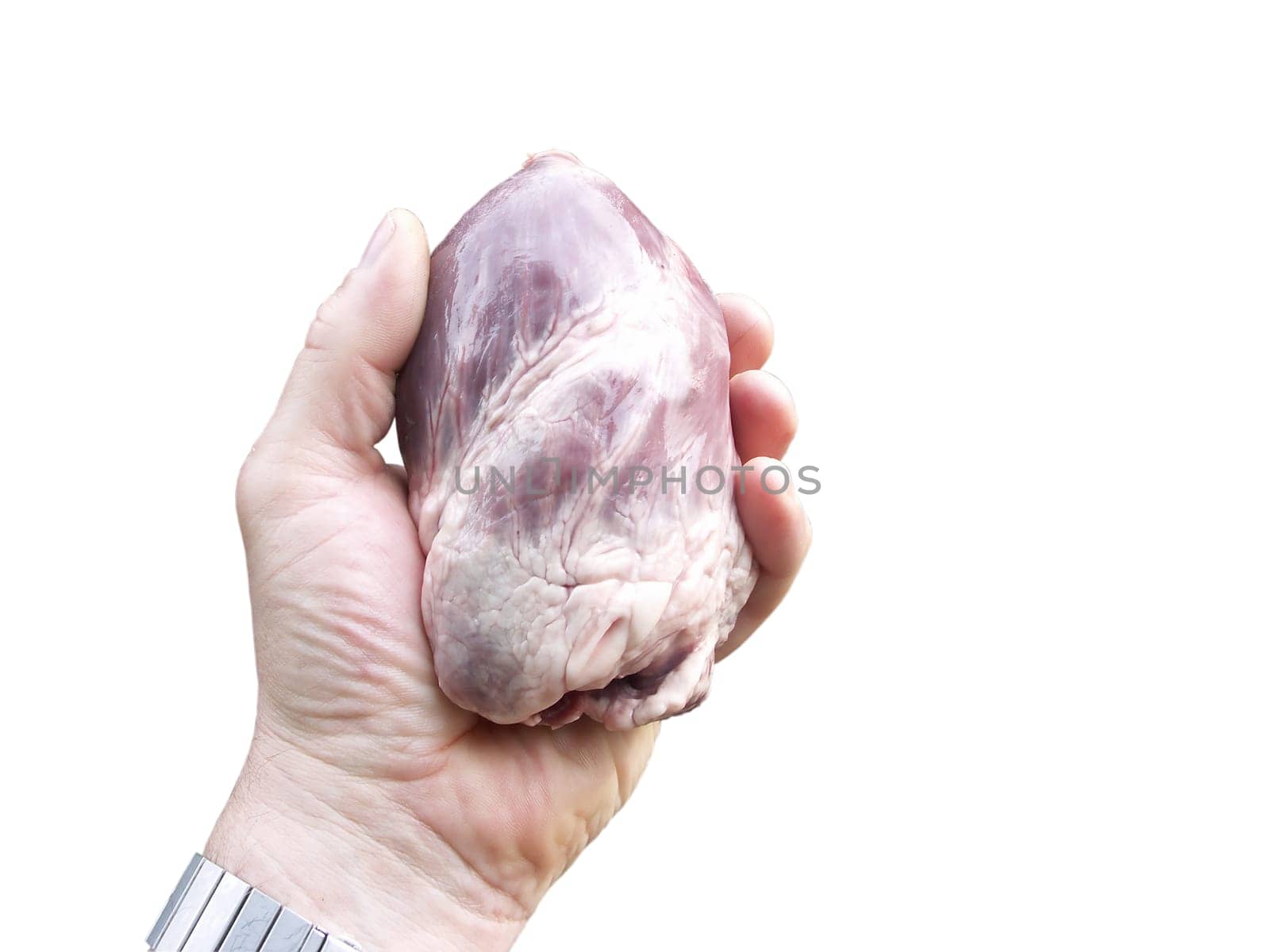 Organ donation,the heart in the hand