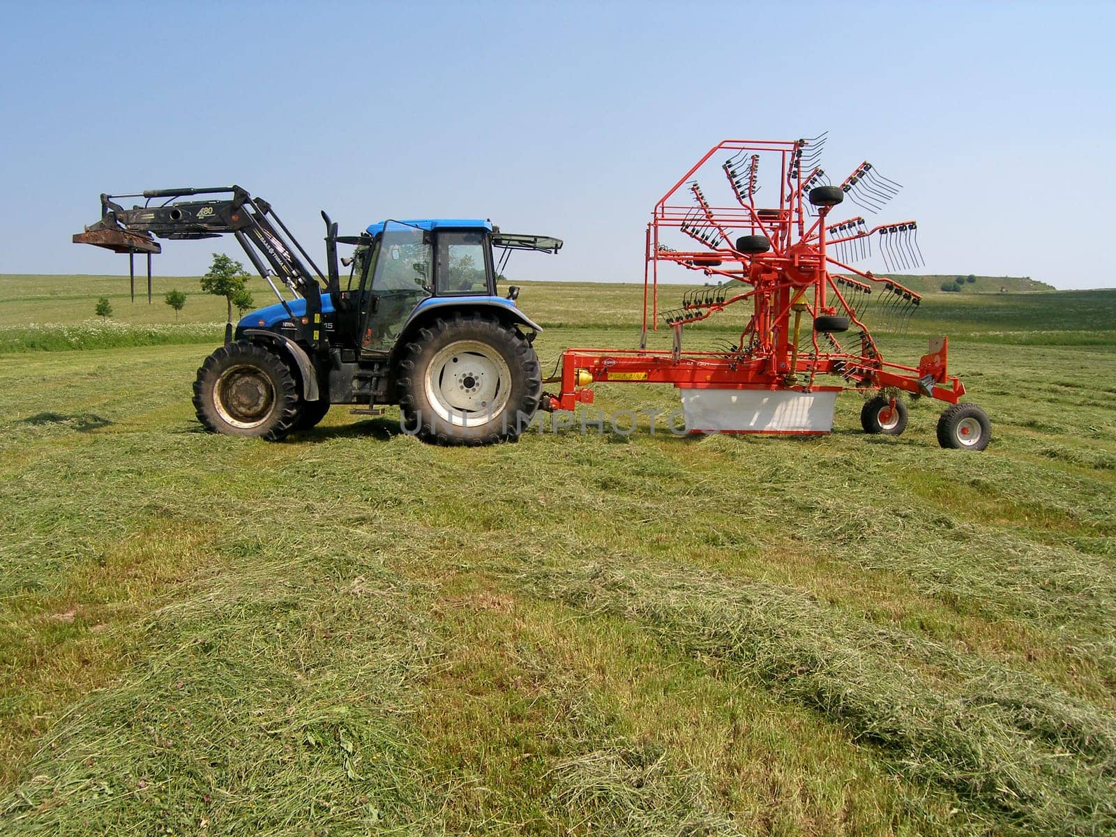 Hay - Harvest