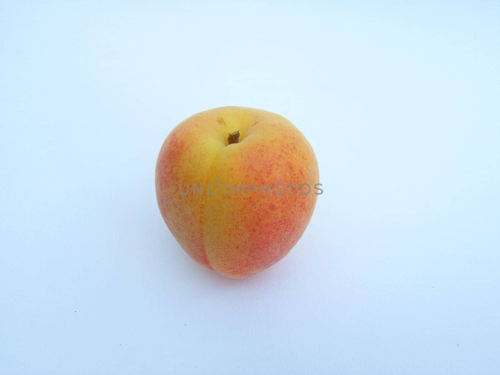 Apricot 01
