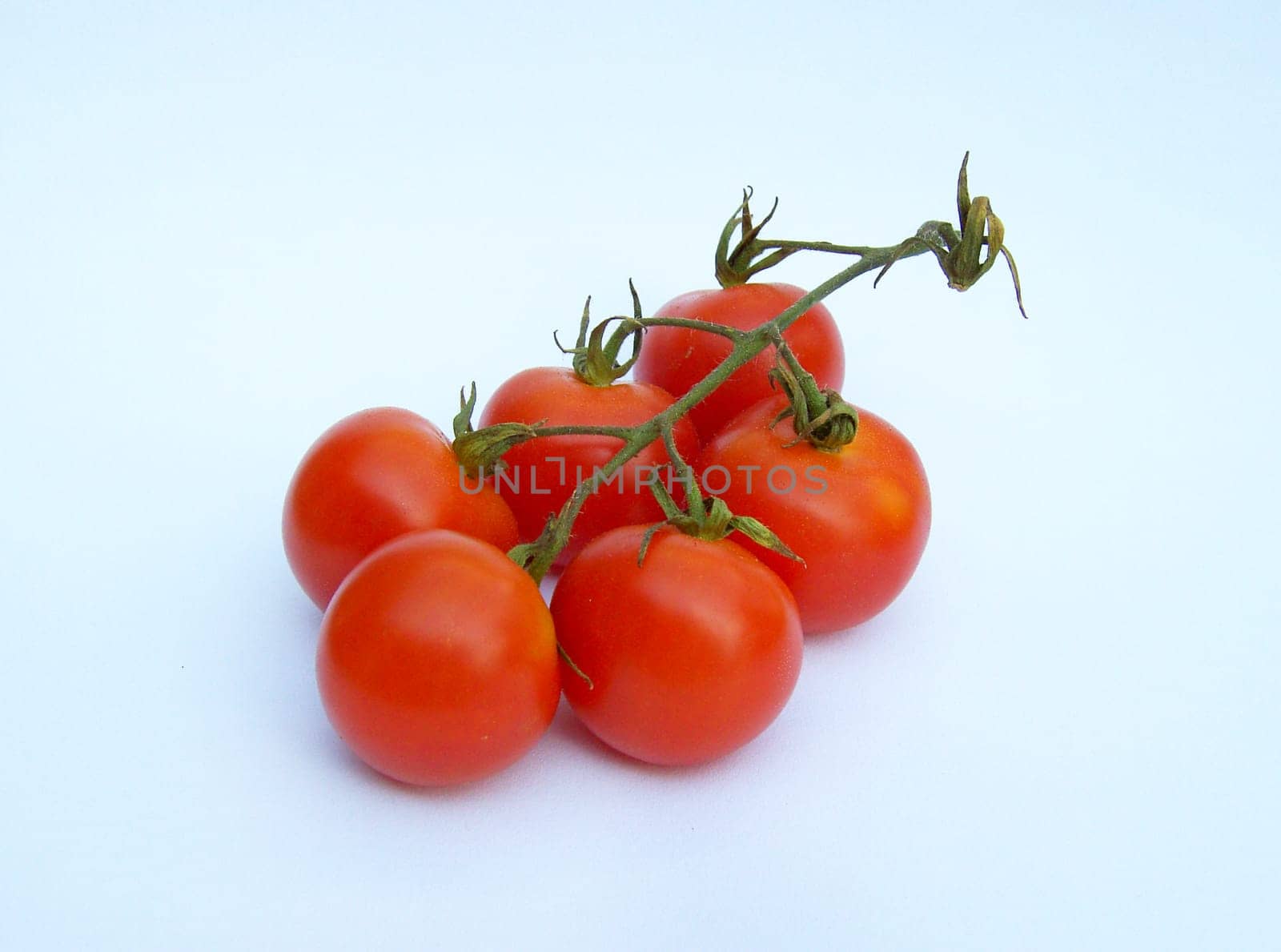 Tomato 02