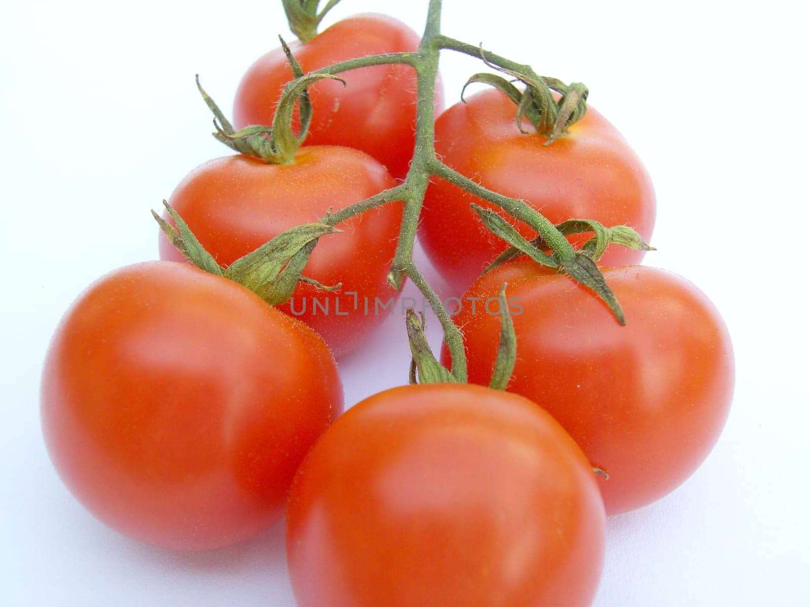 Tomato 01