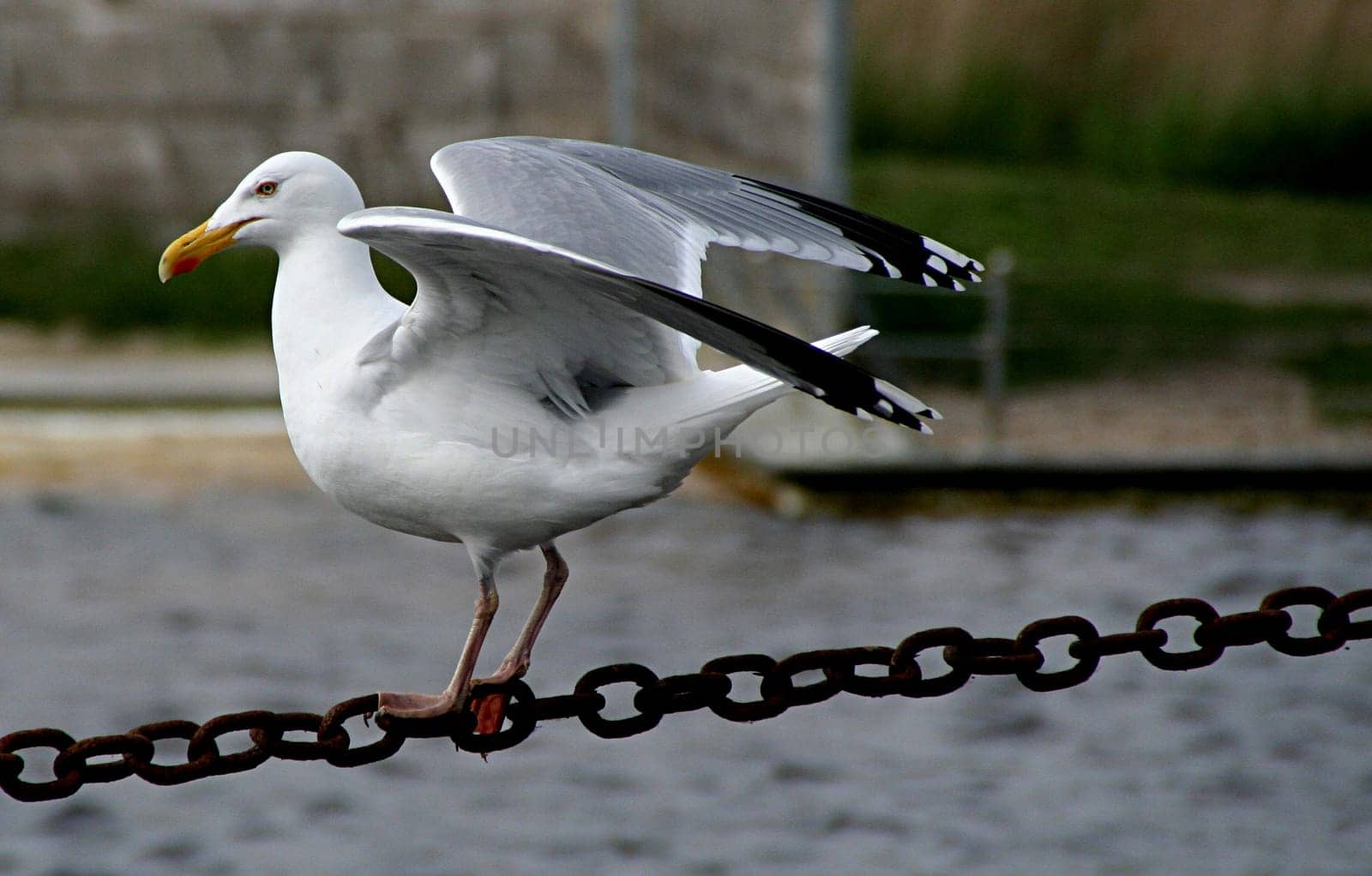 Balancing act