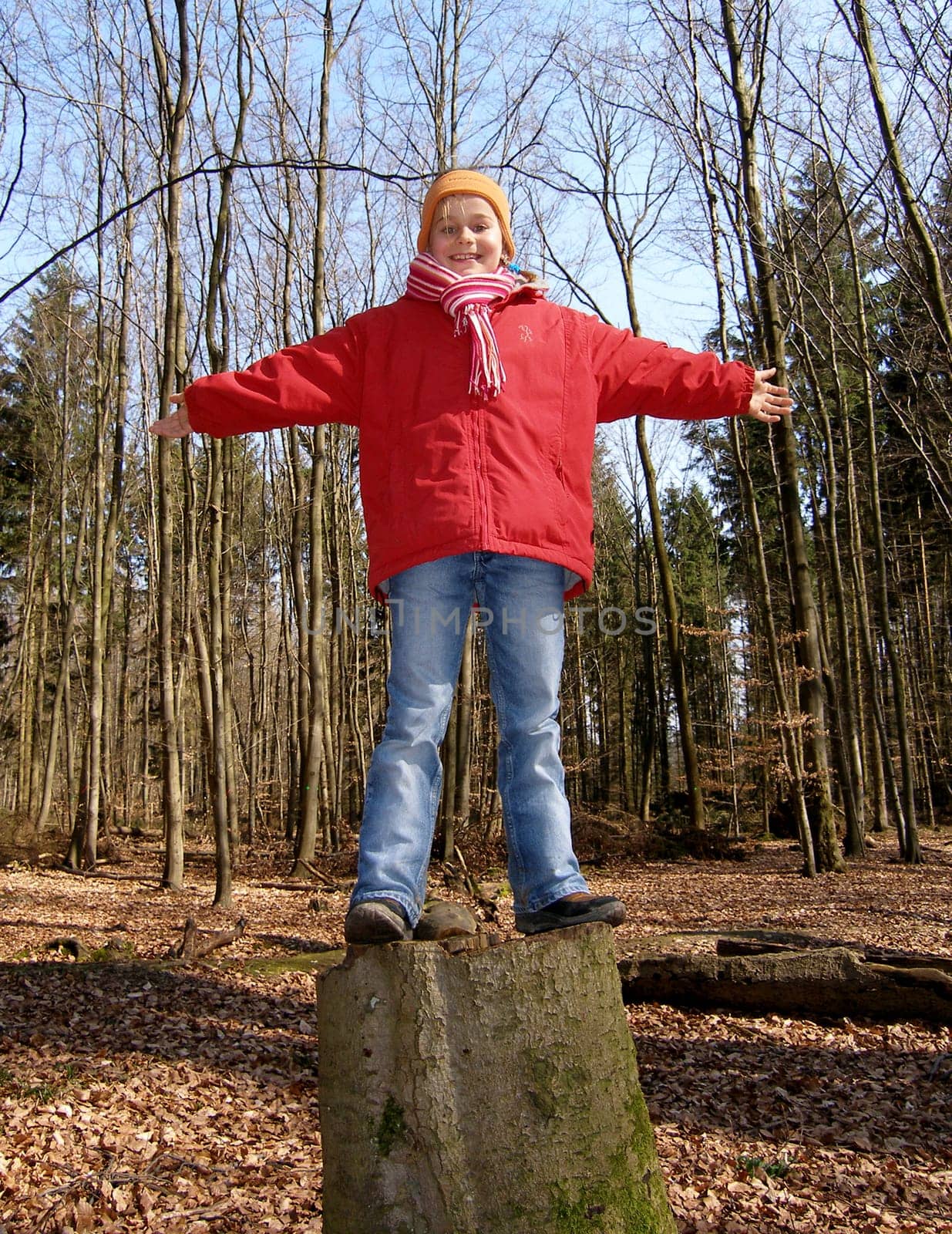 Fun in the woods